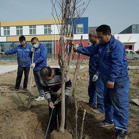 植樹(shù)節(jié)